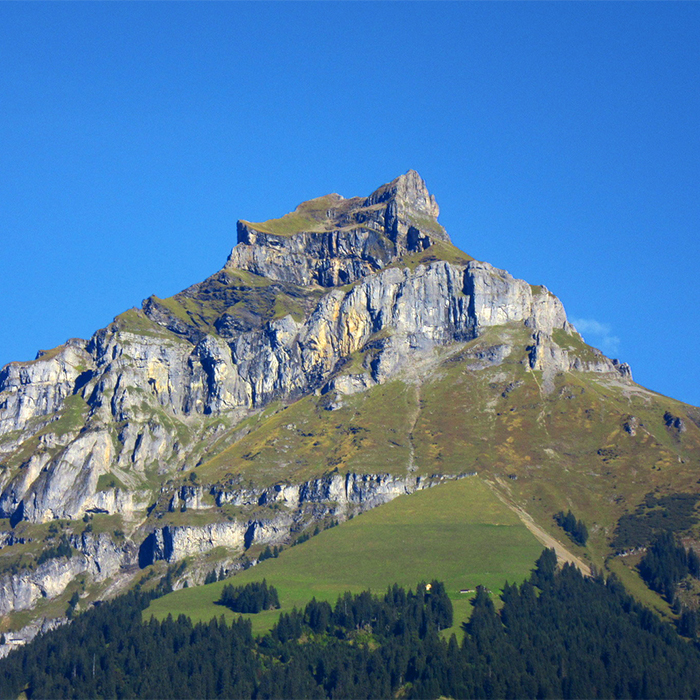 Panorama Fruehling 1